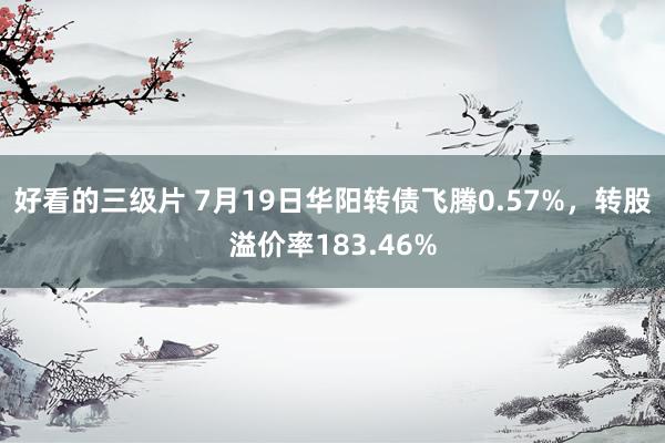 好看的三级片 7月19日华阳转债飞腾0.57%，转股溢价率183.46%