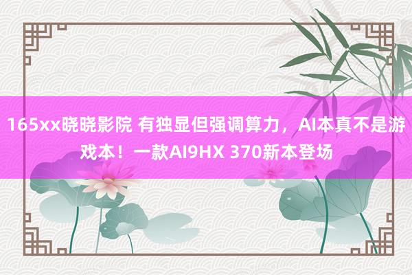 165xx晓晓影院 有独显但强调算力，AI本真不是游戏本！一款AI9HX 370新本登场