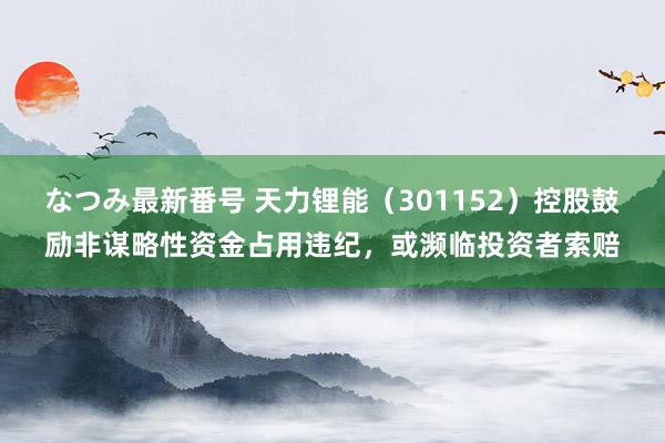 なつみ最新番号 天力锂能（301152）控股鼓励非谋略性资金占用违纪，或濒临投资者索赔