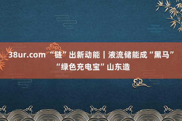 38ur.com “链”出新动能｜液流储能成“黑马” “绿色充电宝”山东造