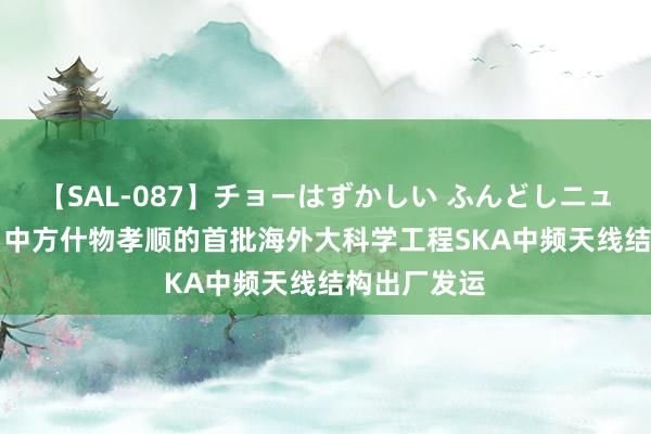 【SAL-087】チョーはずかしい ふんどしニューハーフ 2 中方什物孝顺的首批海外大科学工程SKA中频天线结构出厂发运