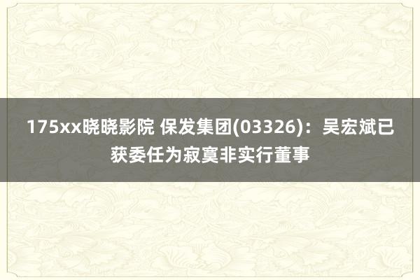 175xx晓晓影院 保发集团(03326)：吴宏斌已获委任为寂寞非实行董事