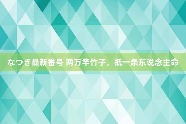 なつき最新番号 两万竿竹子，抵一条东说念主命