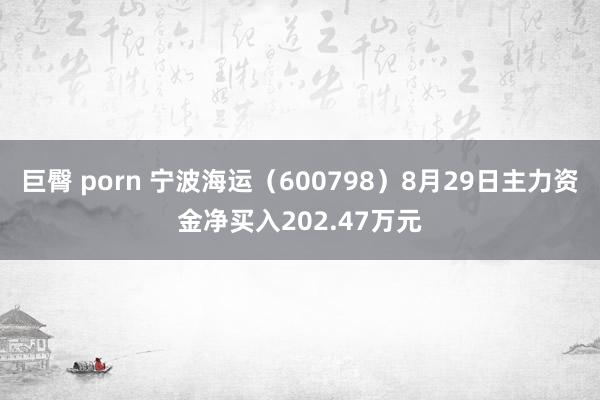 巨臀 porn 宁波海运（600798）8月29日主力资金净买入202.47万元