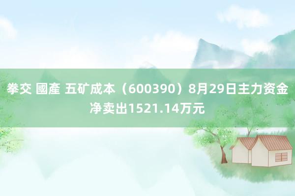 拳交 國產 五矿成本（600390）8月29日主力资金净卖出1521.14万元