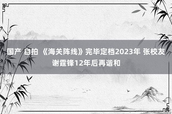 国产 自拍 《海关阵线》完毕定档2023年 张校友谢霆锋12年后再谐和