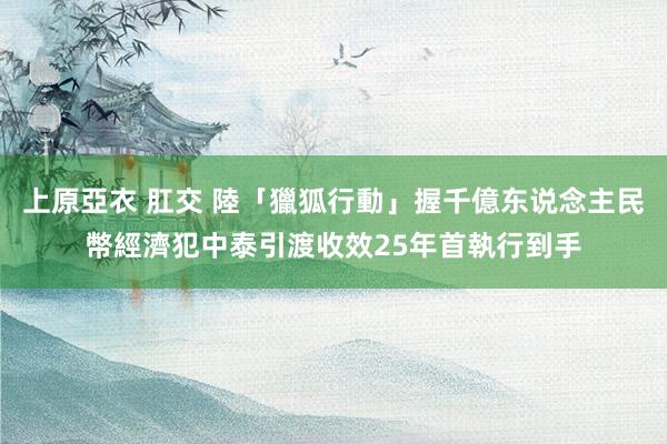 上原亞衣 肛交 陸「獵狐行動」握千億东说念主民幣經濟犯　中泰引渡收效25年首執行到手