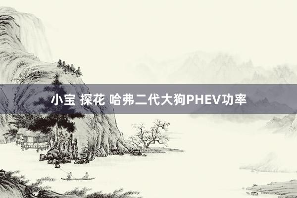 小宝 探花 哈弗二代大狗PHEV功率