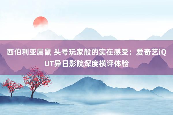 西伯利亚属鼠 头号玩家般的实在感受：爱奇艺iQUT异日影院深度横评体验