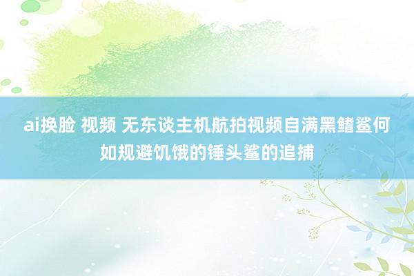 ai换脸 视频 无东谈主机航拍视频自满黑鳍鲨何如规避饥饿的锤头鲨的追捕