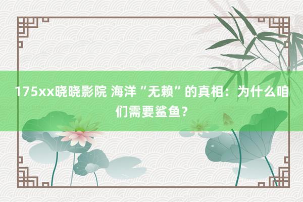 175xx晓晓影院 海洋“无赖”的真相：为什么咱们需要鲨鱼？