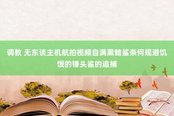 调教 无东谈主机航拍视频自满黑鳍鲨奈何规避饥饿的锤头鲨的追捕