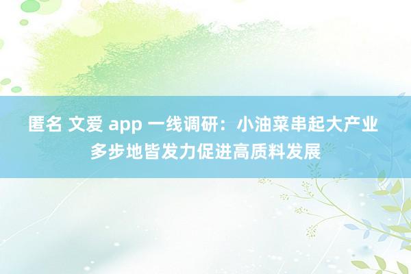 匿名 文爱 app 一线调研：小油菜串起大产业 多步地皆发力促进高质料发展